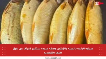 صينية الرنجة بالجبنة والزيتون وصفة جديدة ستغير فكرتك عن طرق أكلها التقليدية